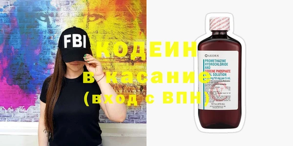шишки Ельня