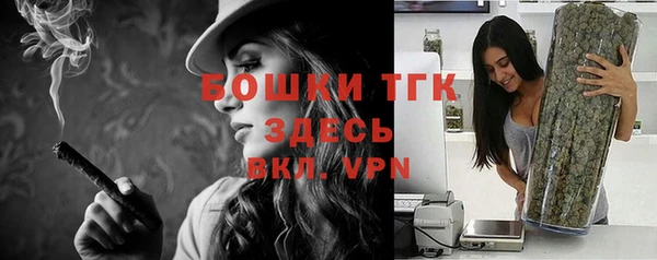 дурь Покачи