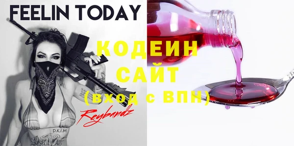 шишки Ельня