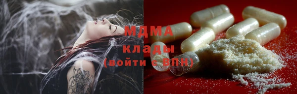шишки Ельня