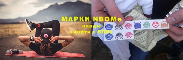 шишки Ельня