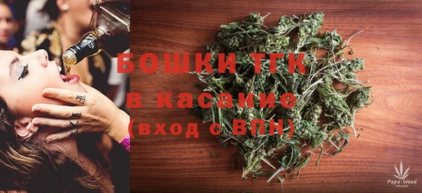 шишки Ельня
