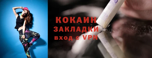 шишки Ельня