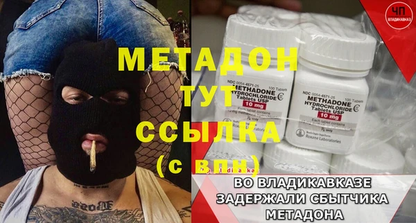 шишки Ельня