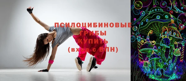 шишки Ельня