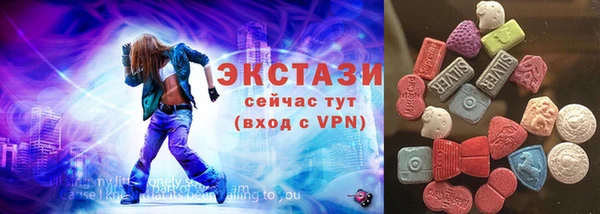 шишки Ельня