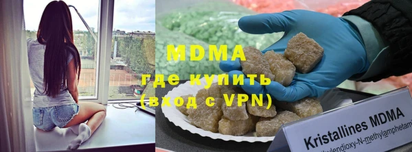 шишки Ельня