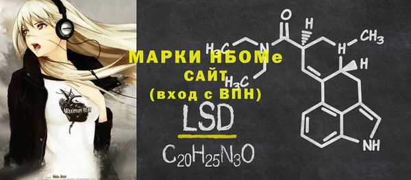 шишки Ельня