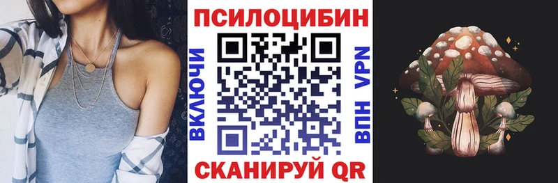 Купить закладки  Зеленокумск  Псилоцибиновые грибы Psilocybe 